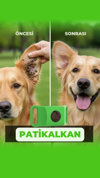 patikalkan